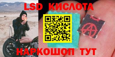 прущие грибы Тула