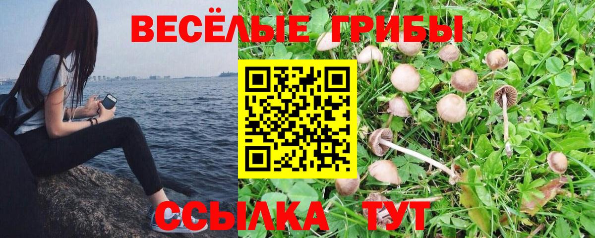 Псилоцибиновые грибы ЛСД  Вход с VPN  Бахчисарай 